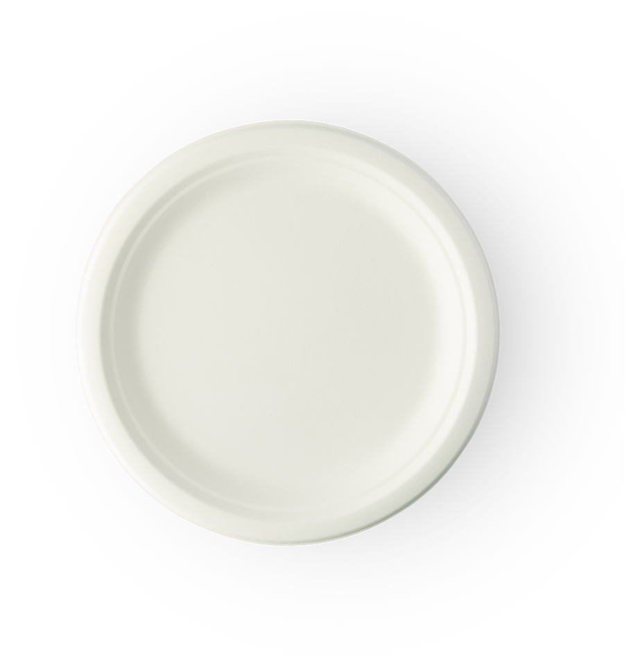 Biodegradable plate cutout, Png file